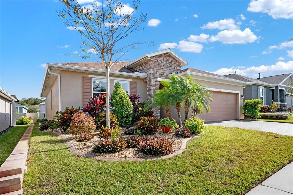 ELEVATED LANDSCAPED LOT & HOME HAS GUTTERS TOO!