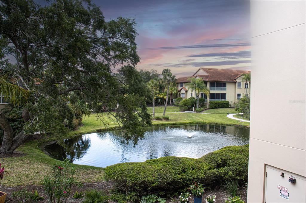 Pond with fountain outside front door