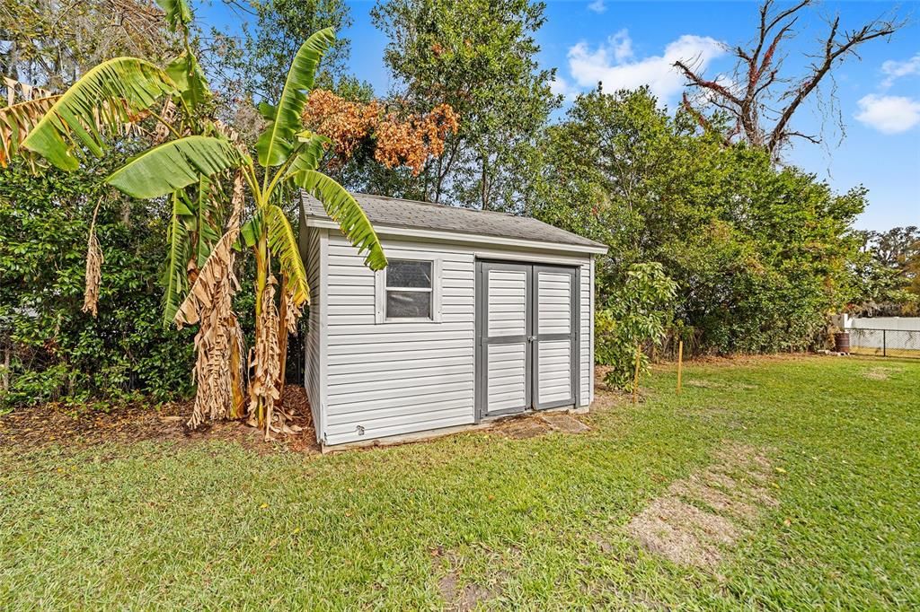 Nice little shed for the equipment