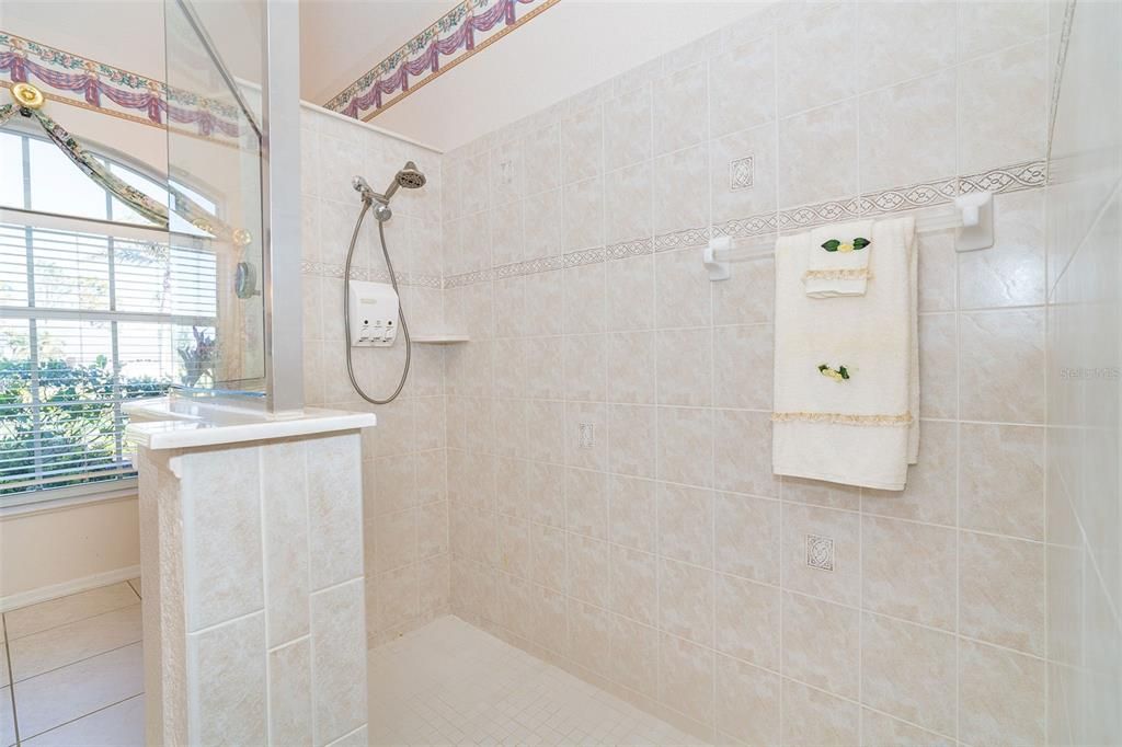 Primary Bathroom walk-in shower