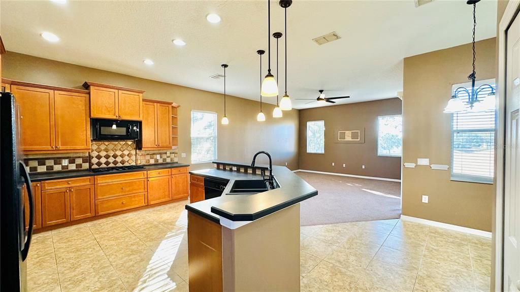 Kitchen / Kitchenette - Family Room