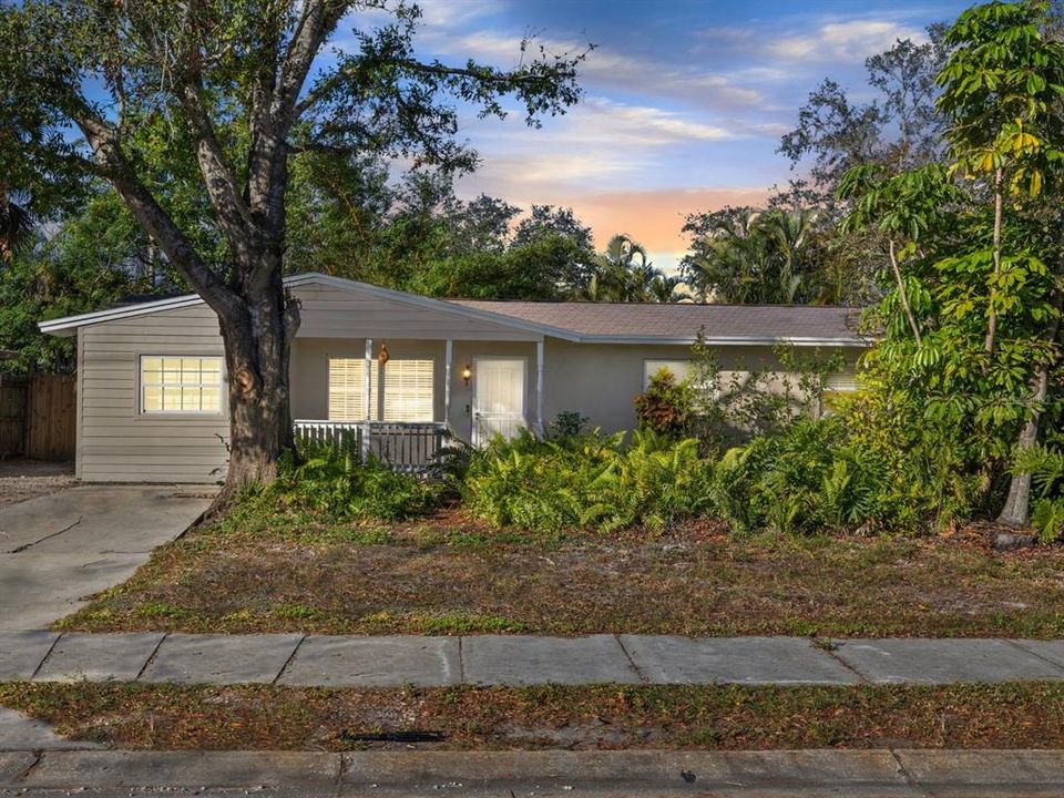 Front view of home featuring an oversized tree and lush bushes