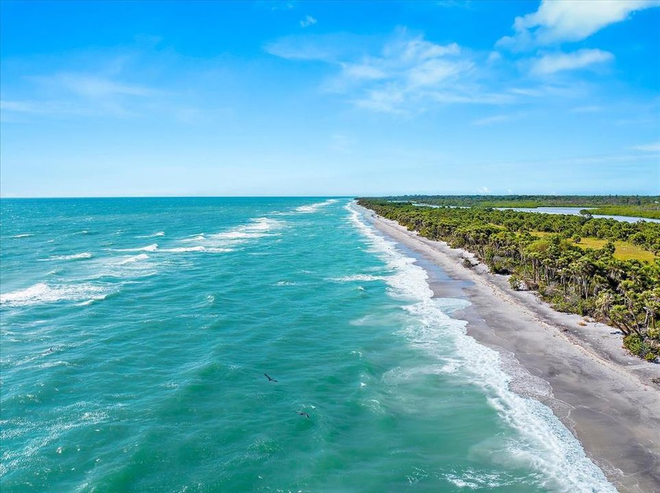 Paradise found.. Venice, Florida.