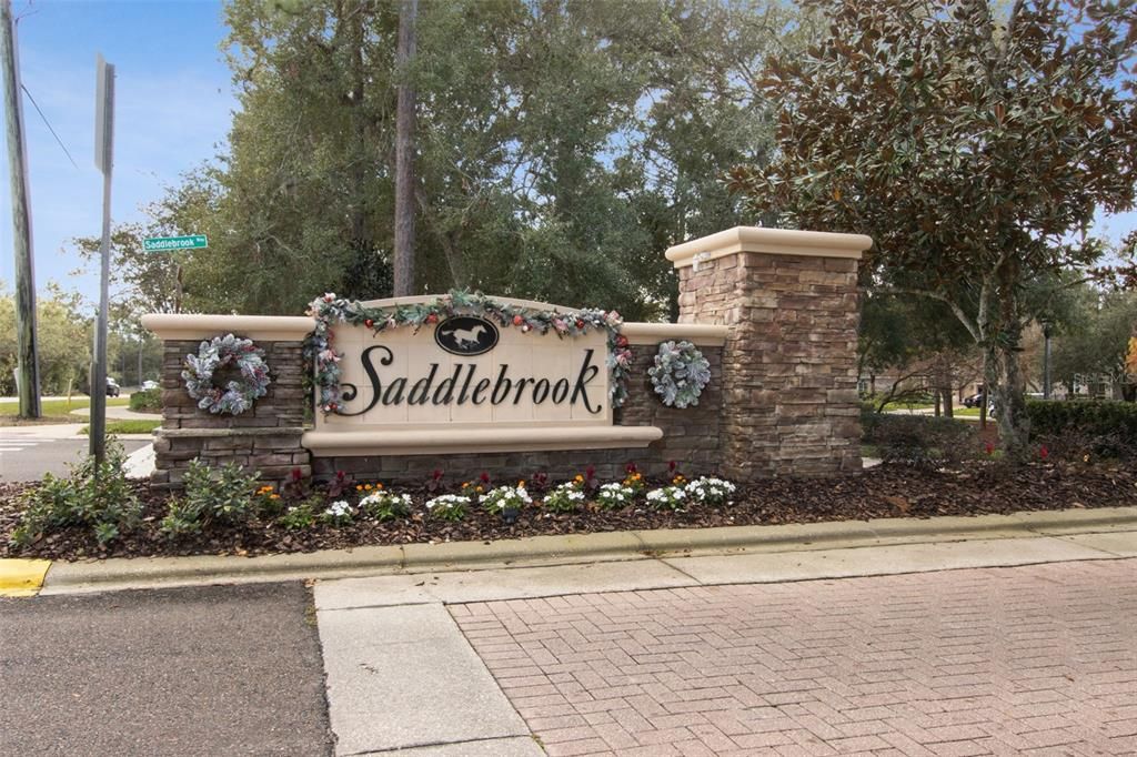 Welcome to Saddlebrook