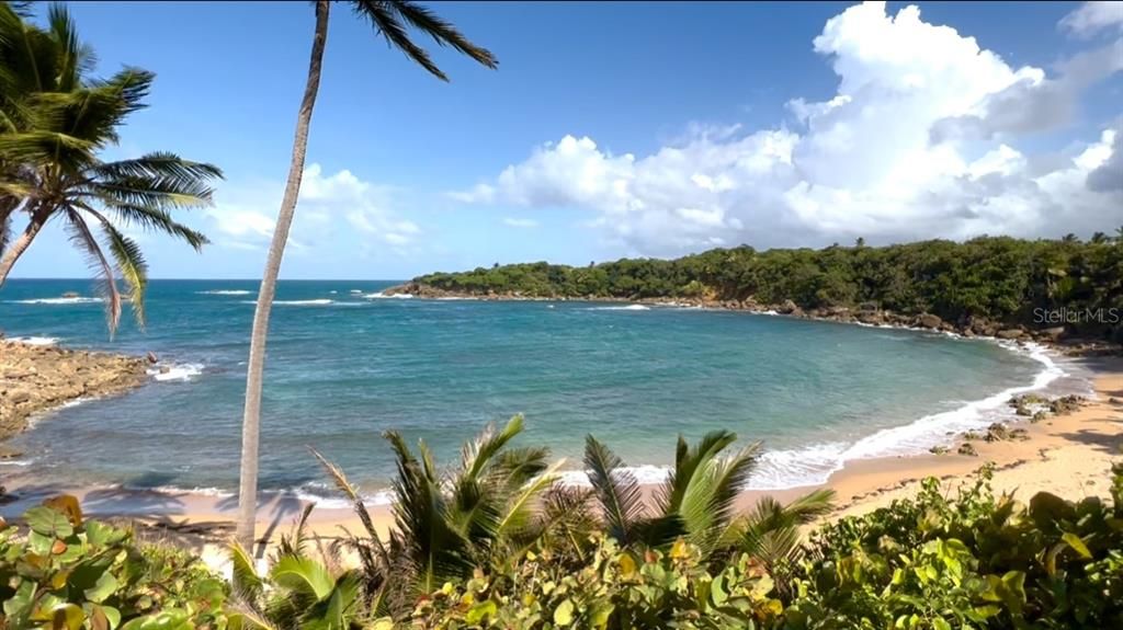 待售: $3,650,000 (0.47 acres)