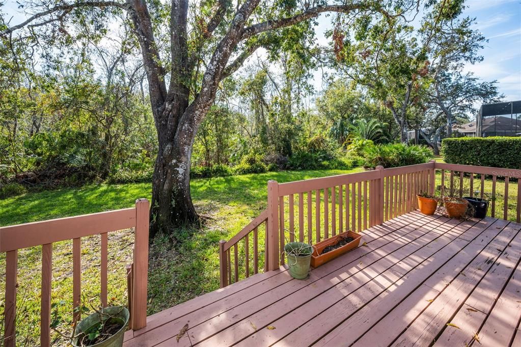 Open-air Back Porch