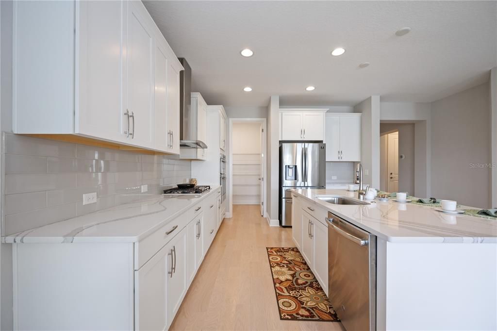 Pantry in the kitchen