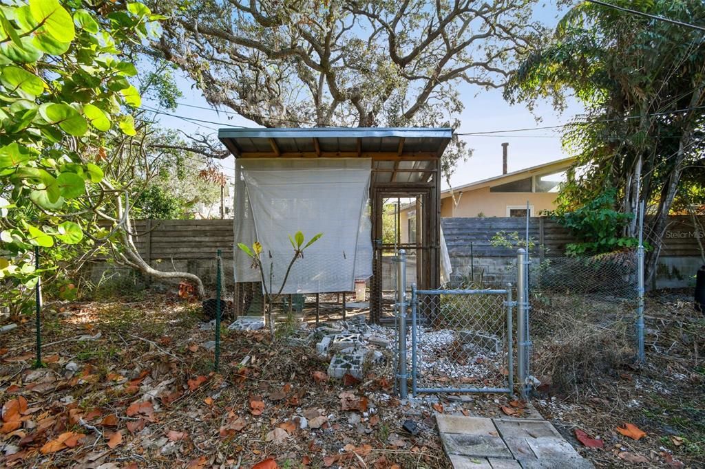 Backyard | Chicken Coop