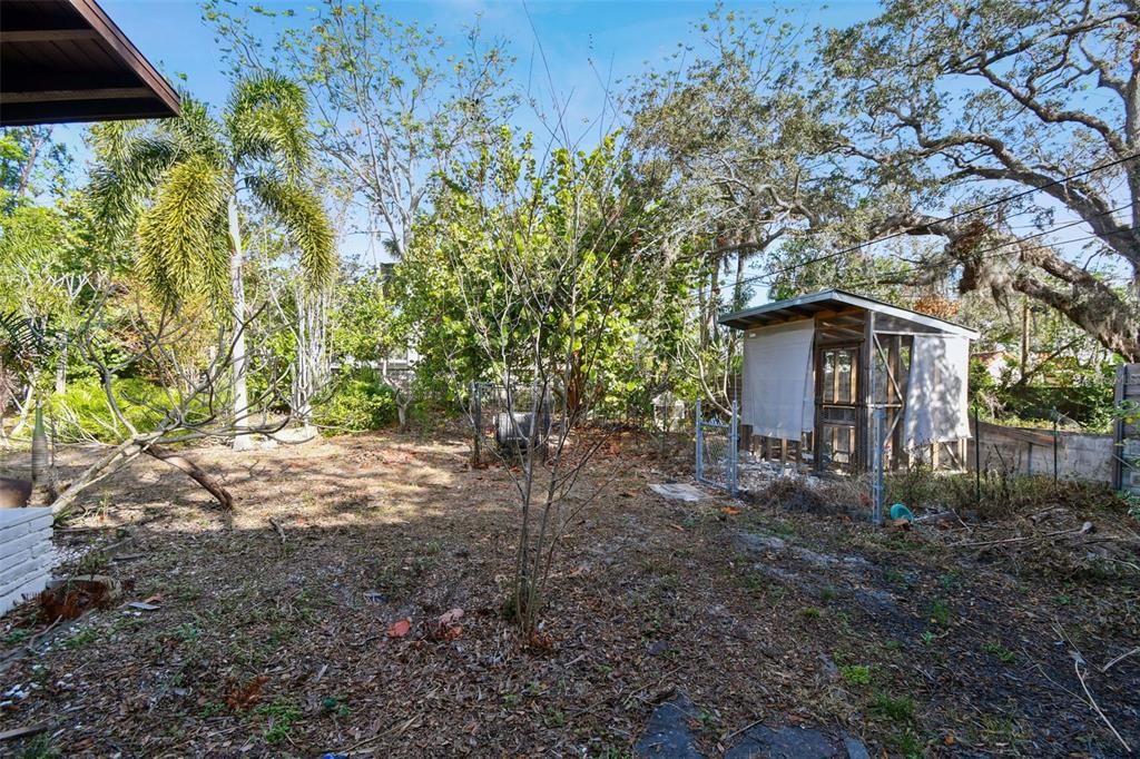 Backyard | Chicken Coop