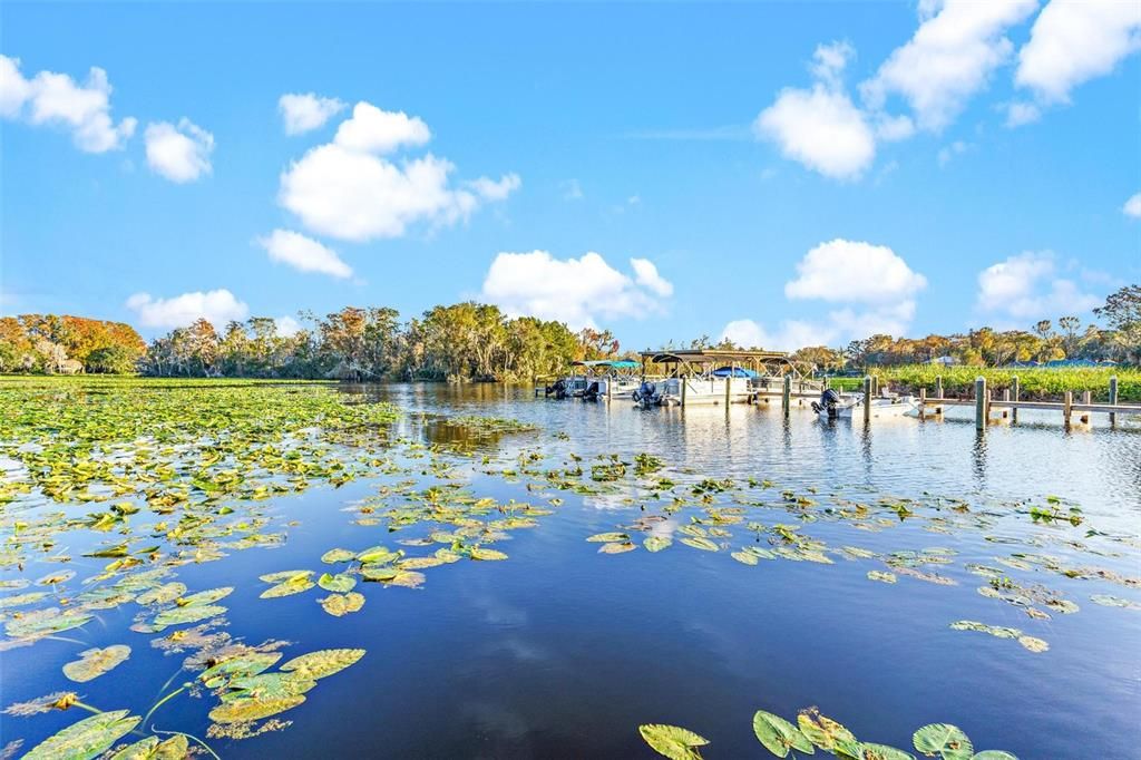 View of Lagoon