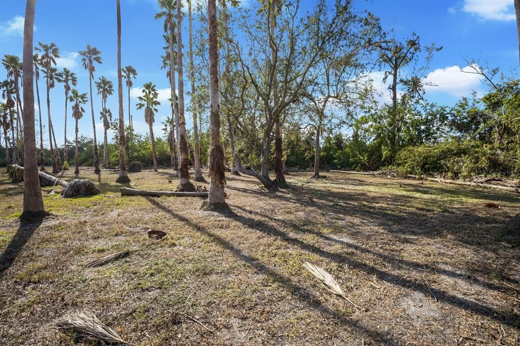 For Sale: $1,295,000 (5.01 acres)