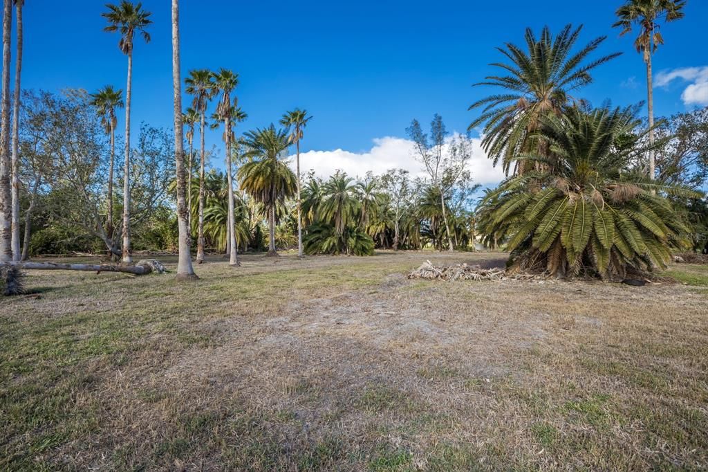 For Sale: $1,295,000 (5.01 acres)