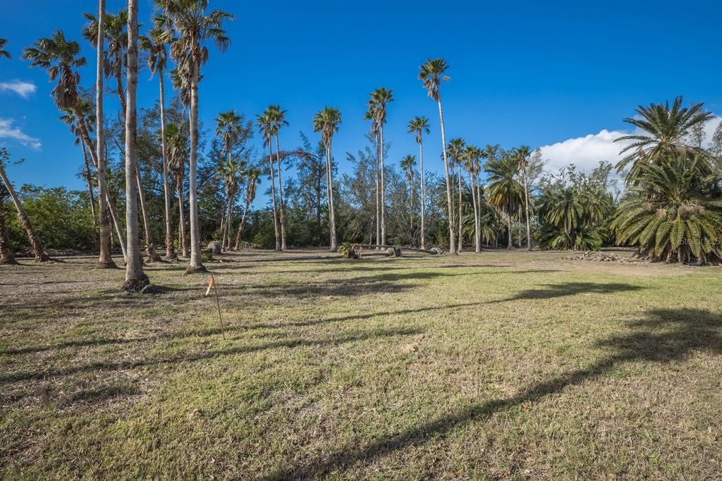 For Sale: $1,295,000 (5.01 acres)