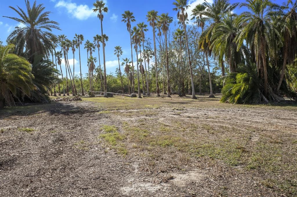 For Sale: $1,295,000 (5.01 acres)