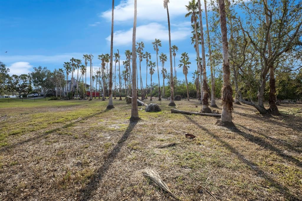 For Sale: $1,295,000 (5.01 acres)