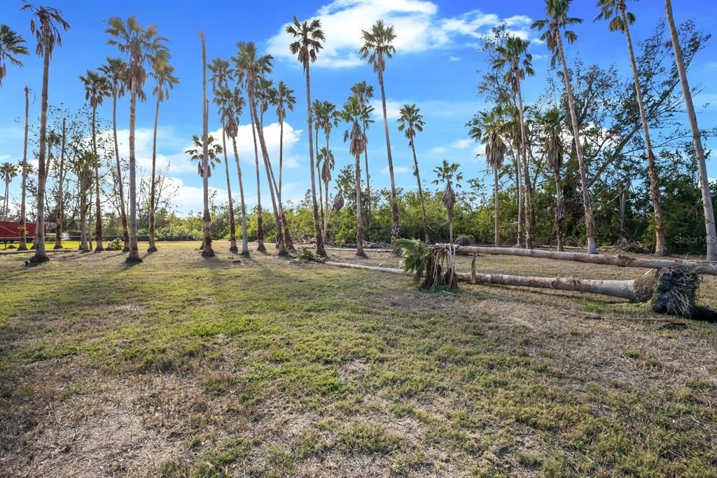 For Sale: $1,295,000 (5.01 acres)