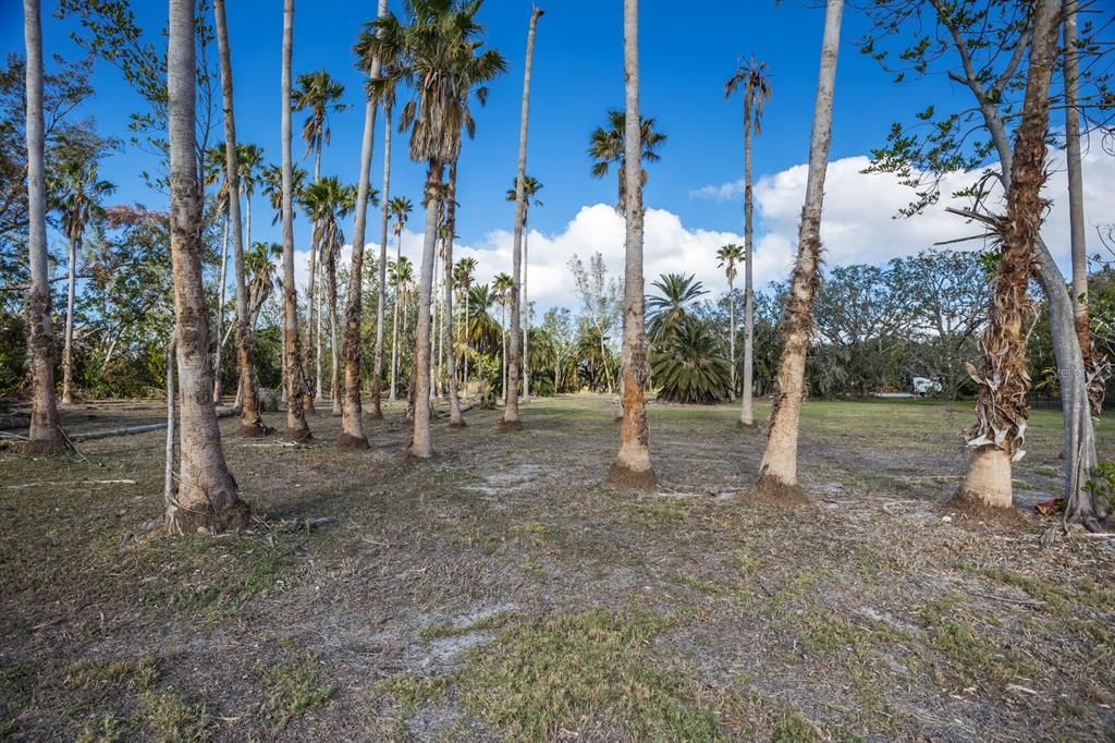 For Sale: $1,295,000 (5.01 acres)