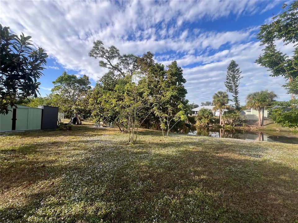 Backyard with canal view