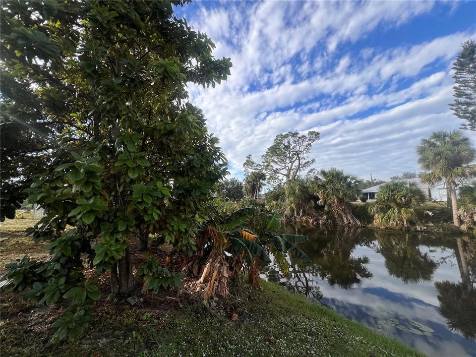 Backyard with canal view