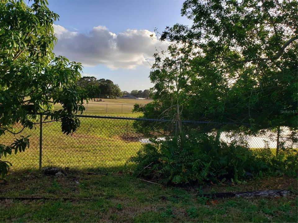 Back yard Water Pond