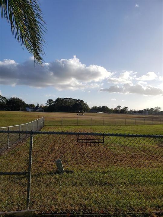 Back yard Soccer Field