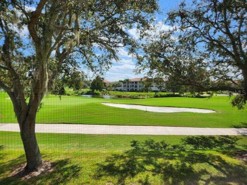 VIEW OF 2ND GREEN FROM LANAI