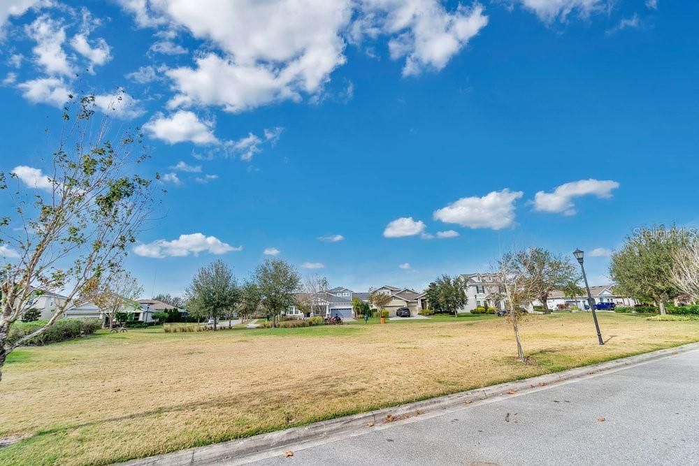 Green space across street