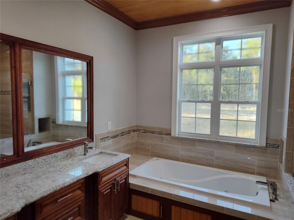 Master bathroom