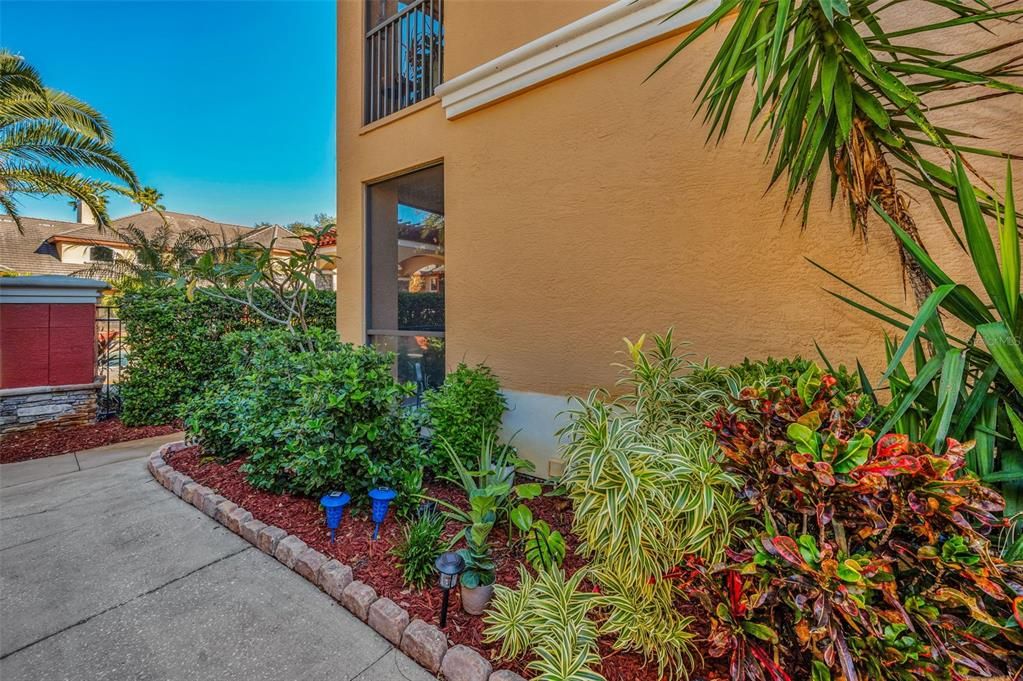 Exterior corner with Community pool