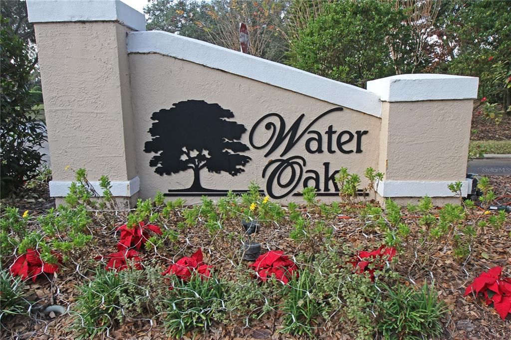 Water Oak