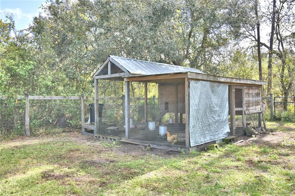 EXTRA LARGE CHICKEN COOP