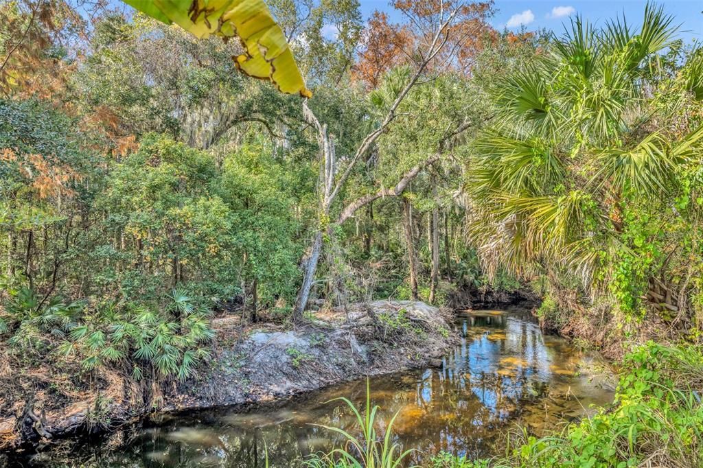 Your View of Lovely and Serene Howell Creek