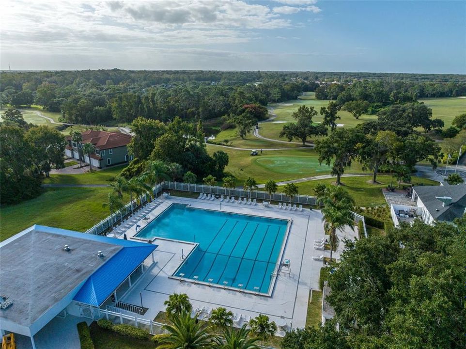 Country Club Pool