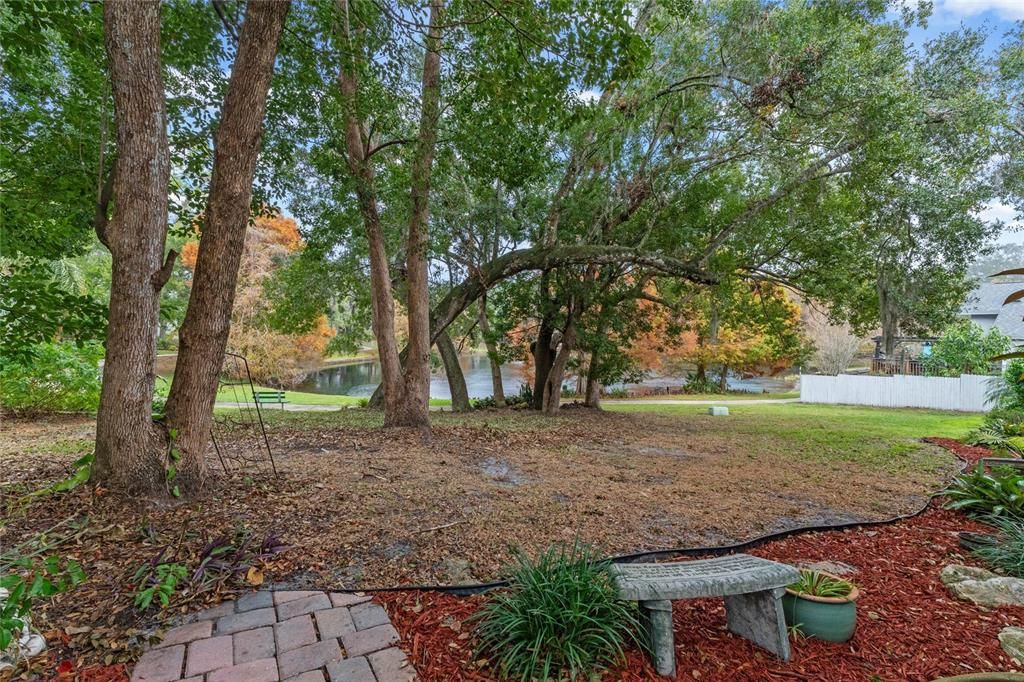 Pond views under the trees