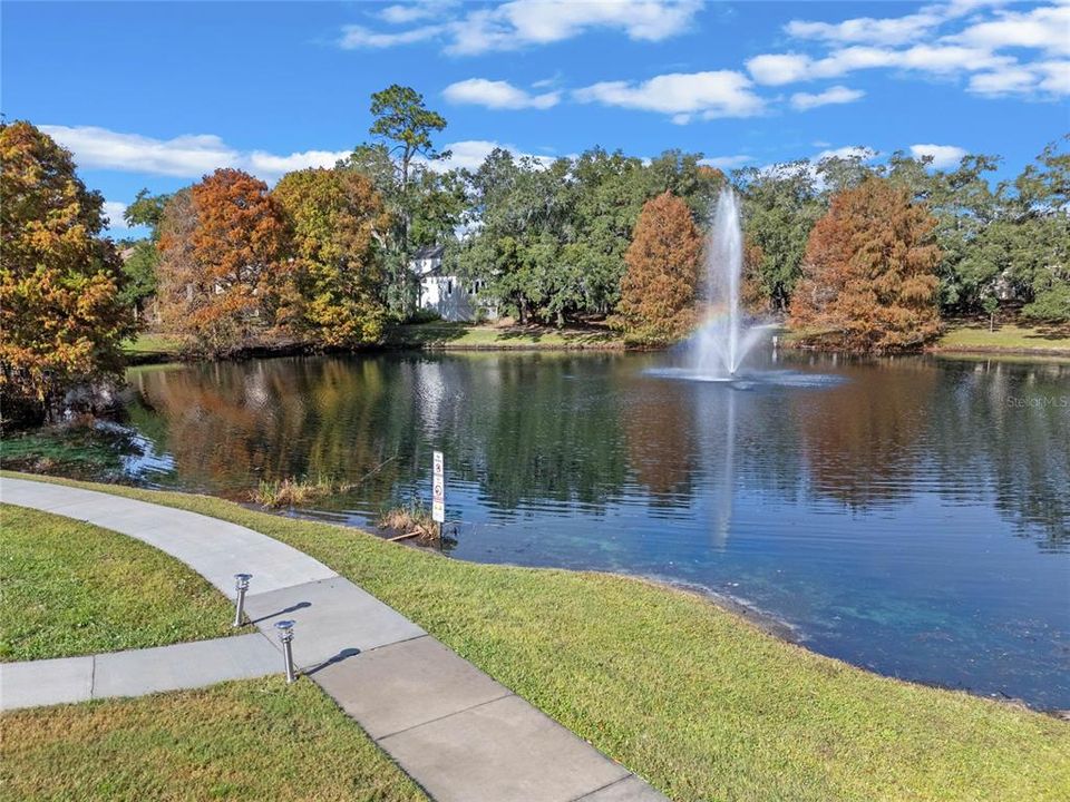 Beautiful community pond