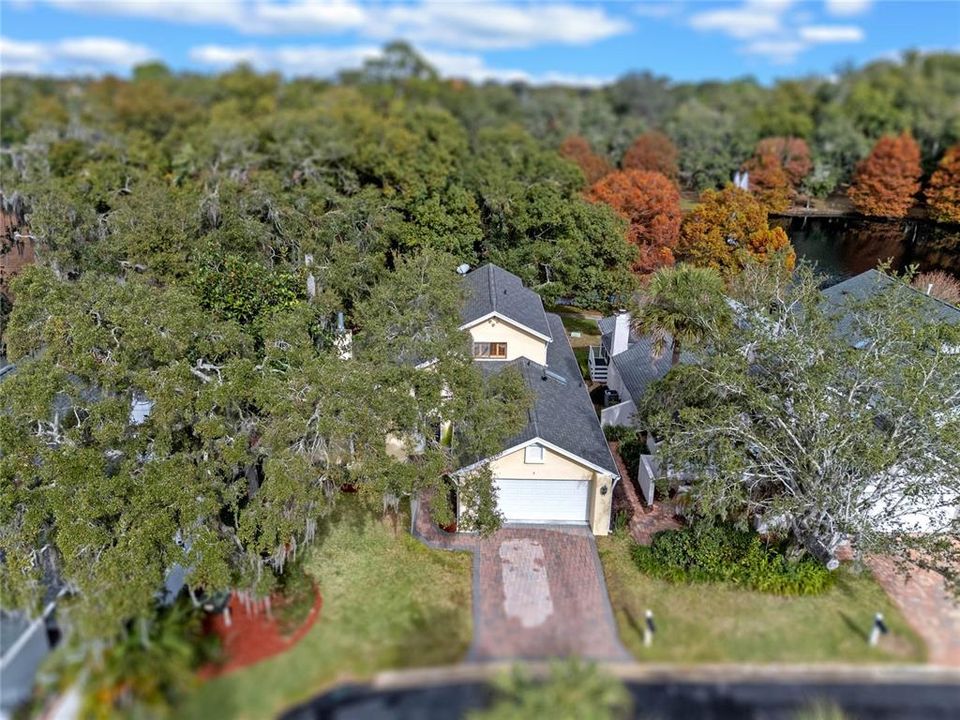 Lovely home surrounded by Florida nature