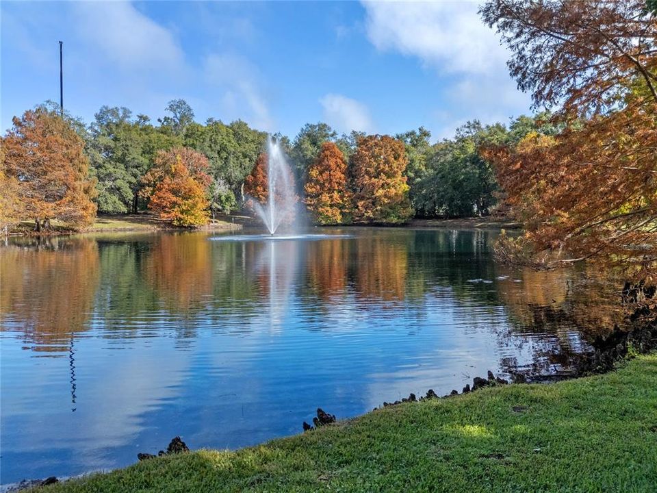 Take a stroll around the pond every morning