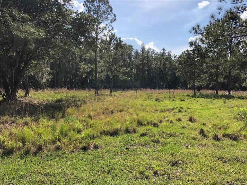 Active With Contract: $499,000 (10.96 acres)