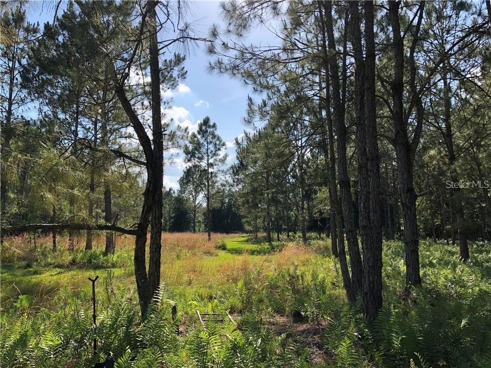 Active With Contract: $499,000 (10.96 acres)