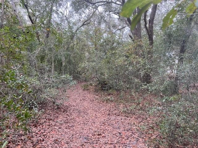 Recently Sold: $30,000 (1.00 acres)