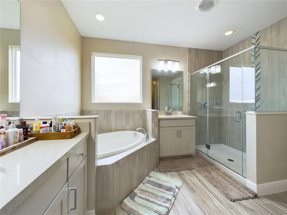 Primary shower and garden bathtub