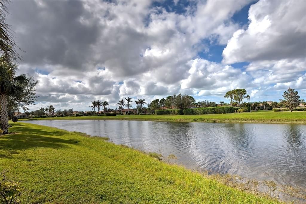 Pond view