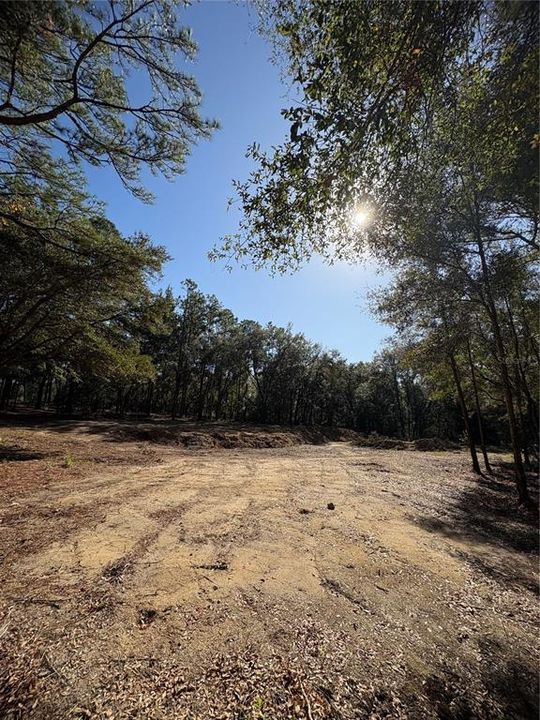 For Sale: $58,000 (1.17 acres)