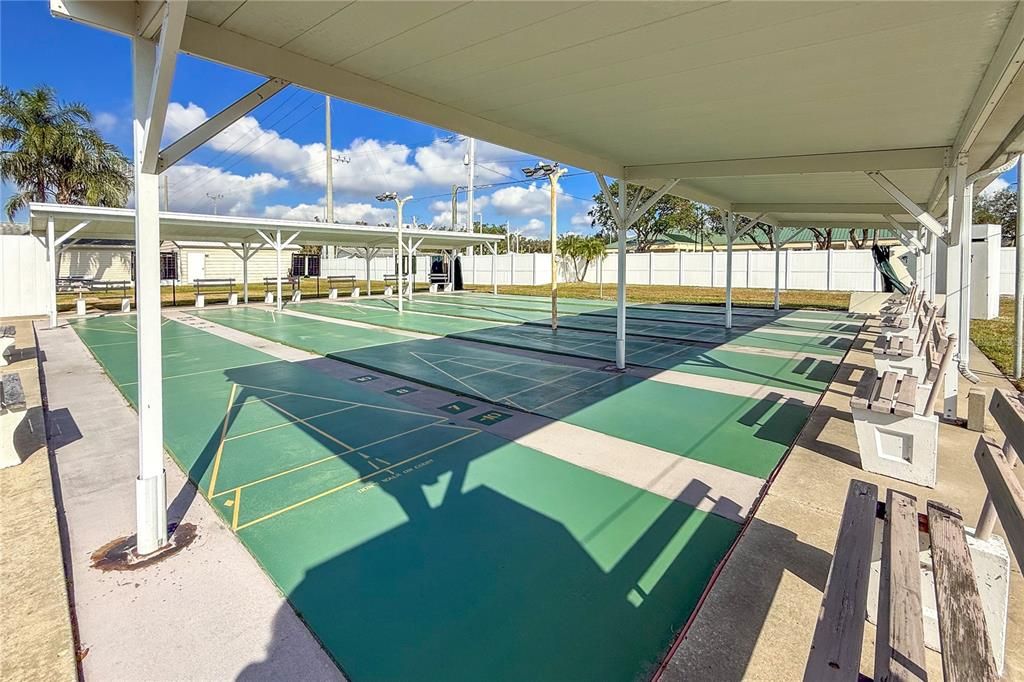 Community Shuffleboard.