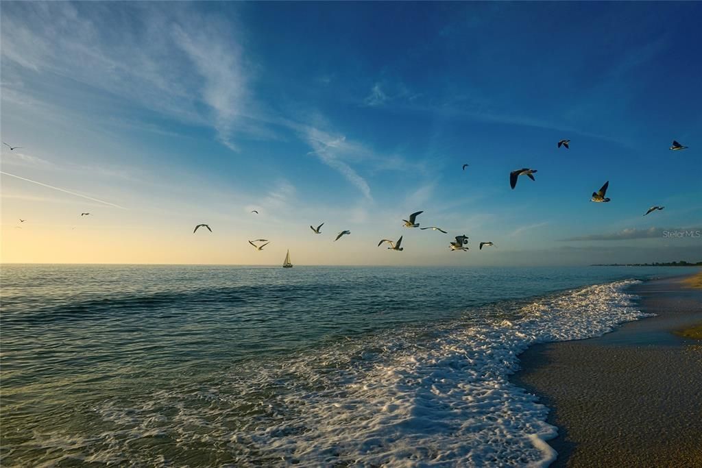 Nokomis Beach