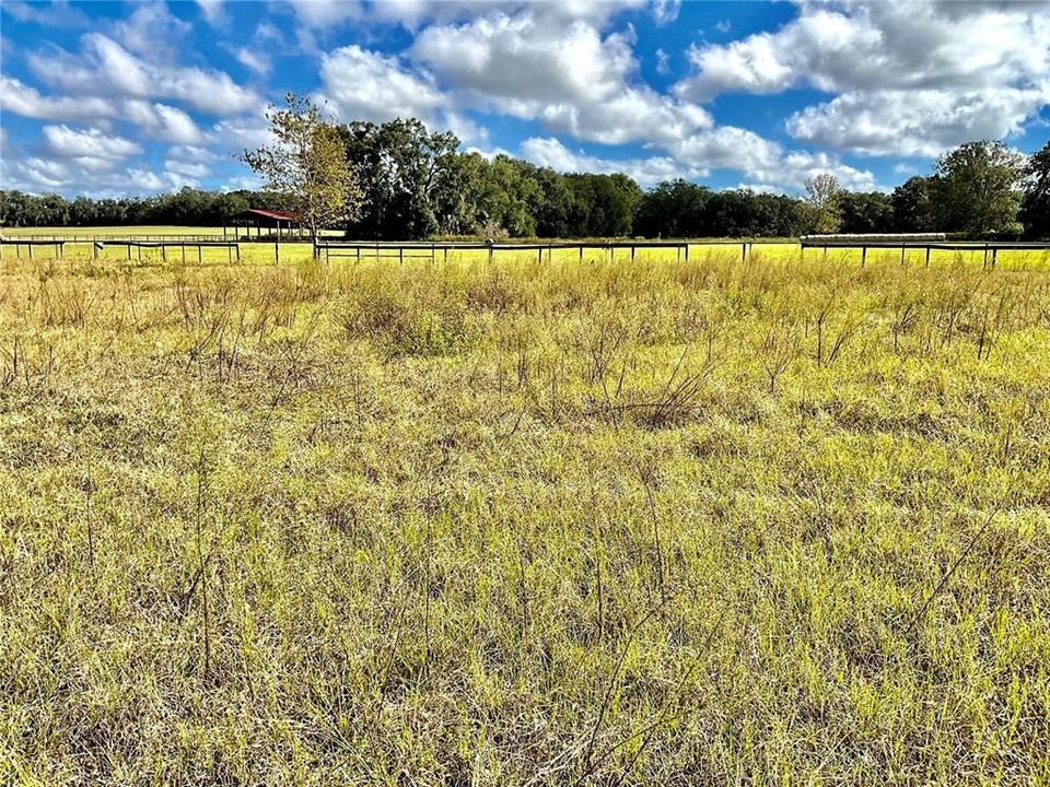 For Sale: $350,000 (5.90 acres)