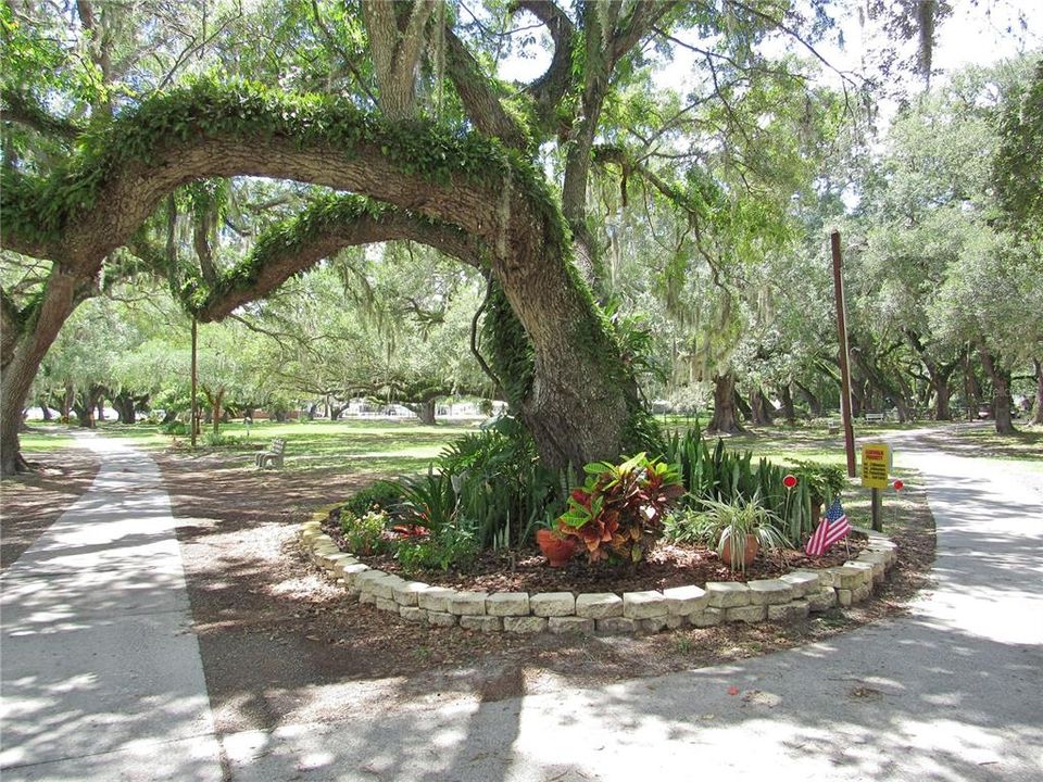 Gardens galore and even a garden club!