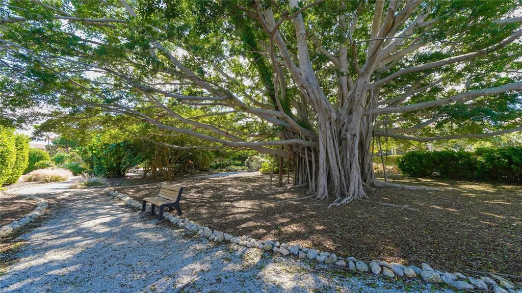 1/2 Mile of Nature Trails in Windward Bay