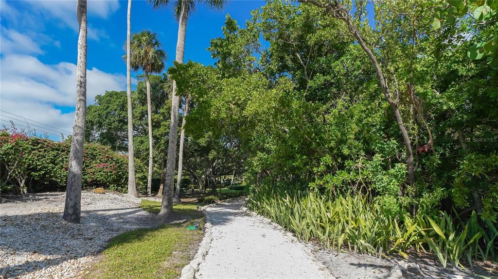 1/2 Mile of Nature Trails in Windward Bay