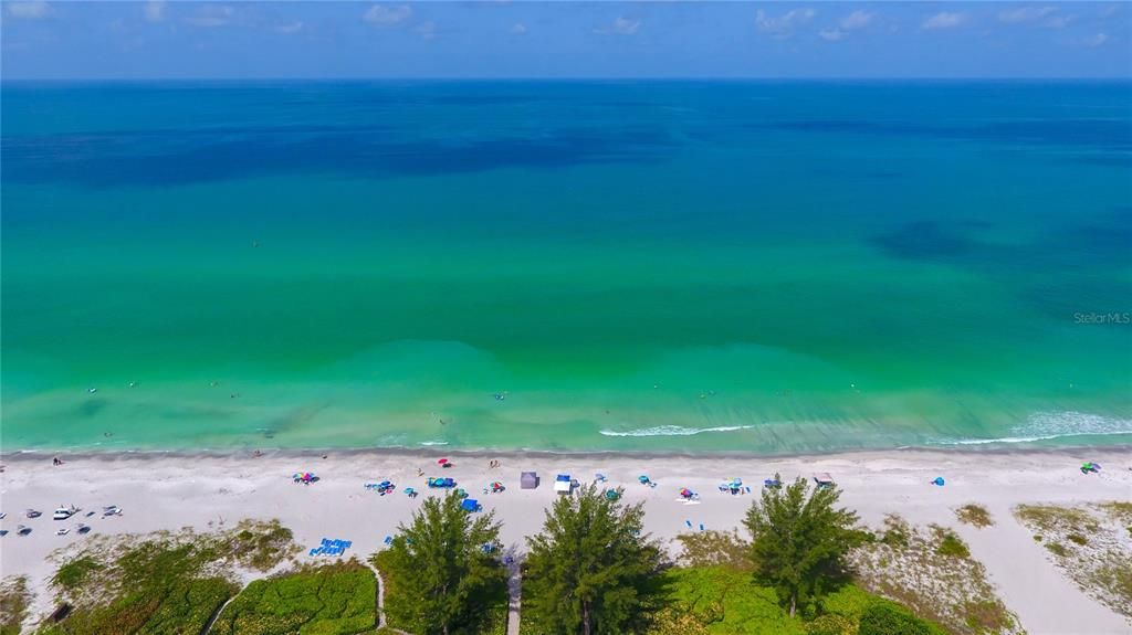 Beautiful Colors of the Gulf of Mexico!